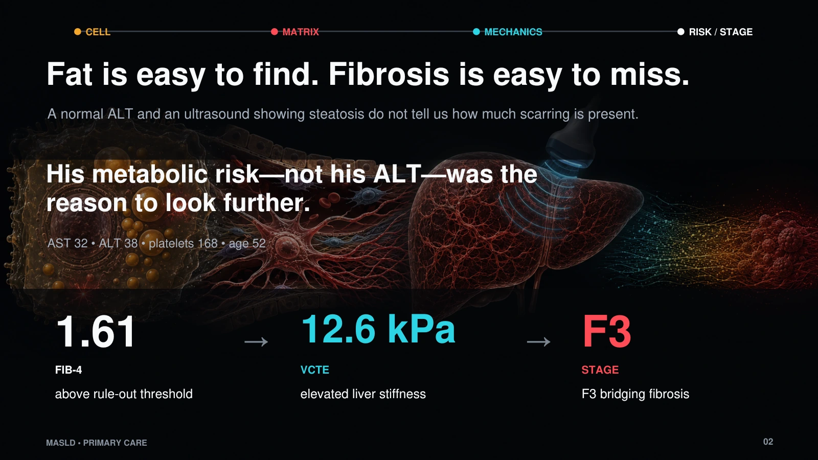 Slide 2: Fat is easy to find. Fibrosis is easy to miss.