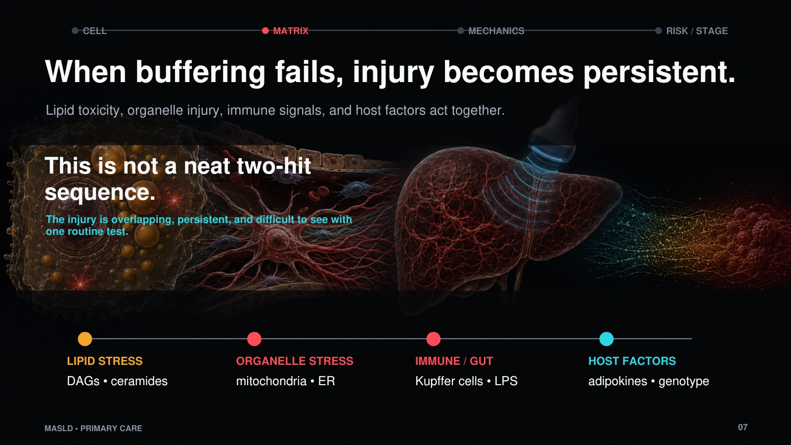 Slide 7: When buffering fails, injury becomes persistent.