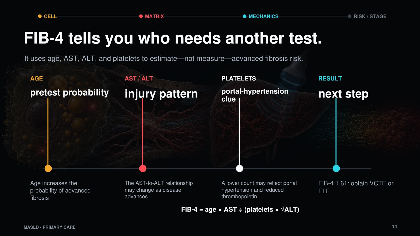 Slide 14: FIB-4 tells you who needs another test.