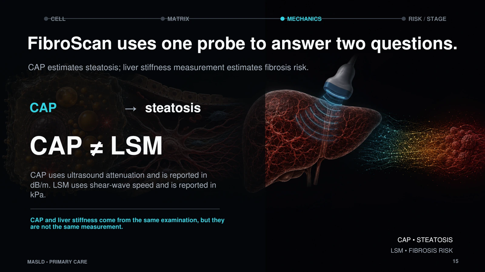 Slide 15: FibroScan uses one probe to answer two questions.