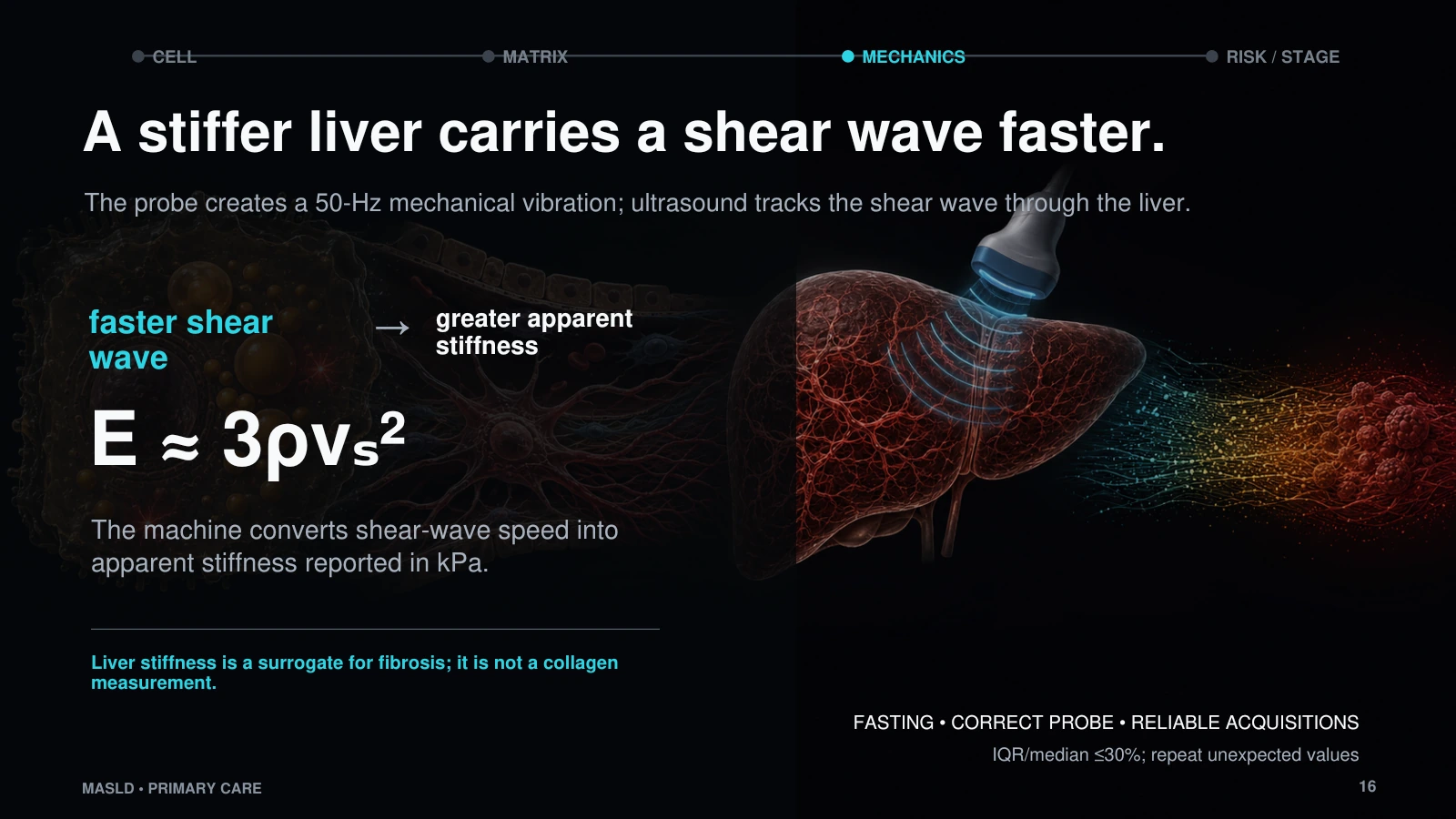 Slide 16: A stiffer liver carries a shear wave faster.