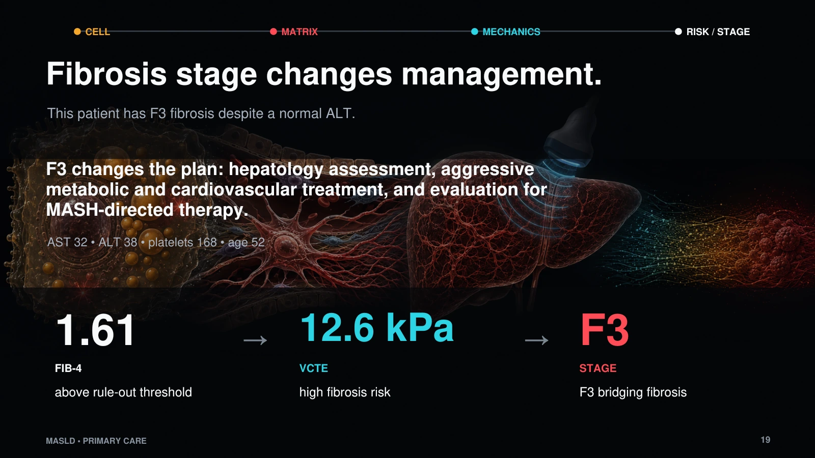 Slide 19: Fibrosis stage changes management.